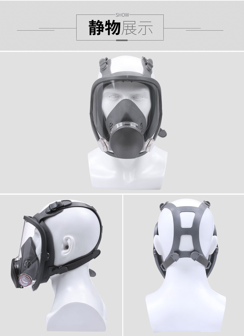 Full Mask Non-powered Air-purifying Respirator PPE-MB